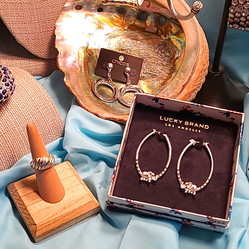 Incredible 18-item Lucky, Robert Lee Morris, INC, Chico's, & more Designer Set! - Picture 8 of 14